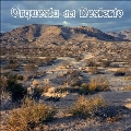 Orquesta Del Desierto<限定盤/Orange Vinyl>