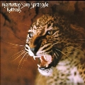 Kattvals<限定盤/Psychedelic Splatter Vinyl>