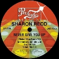Never Give You Up (Incl. Michael Gray Remix)