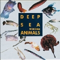 Deep Sea Creatures