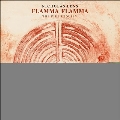 Nicholas Lens: Flamma Flamma - The Fire Requiem