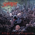 Effigy Of The Forgotten＜限定盤＞