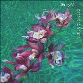 Deep Sea Vents＜限定盤/Opaque Violet Vinyl＞