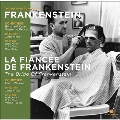 Frankenstein/The Bride Of Frankenstein