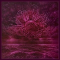 Garden Of Storms<Purple Vinyl>