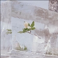 Windflowers<Clear Vinyl/限定盤>