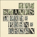 Dead & Born & Grown<限定盤/NAD Colored Vinyl>