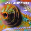 The Eye Of The Chameleon
