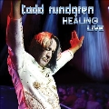 Healing Live<限定盤/Purple Marble Vinyl>