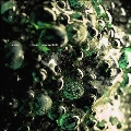 Loam/New Symbols<Transparent Green Vinyl>