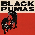 Black Pumas