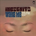 Wake Me (Louie Vega & Joe Claussell Remix)