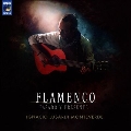 Flamenco: Pasado y Presente