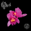 Orchid<Colored Vinyl>