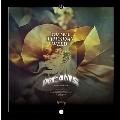 Dreams<Translucent Gold Vinyl>