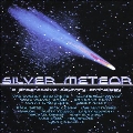 Silver Meteor: A Progressive Country Anthology