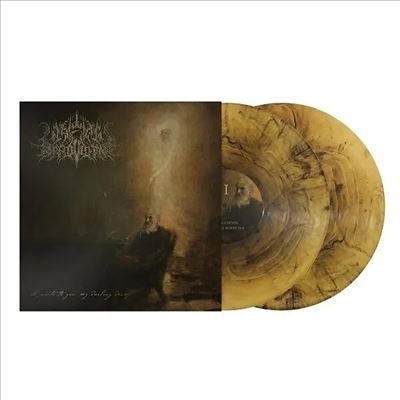 A Wake In Providence/I Write To You, My Darling Decayס[ULR379LP]