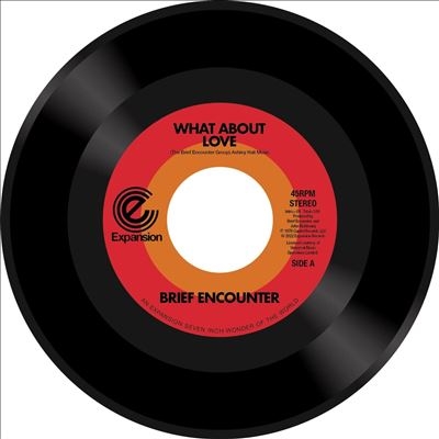 The Brief Encounter/What About Loveס[EXS027]