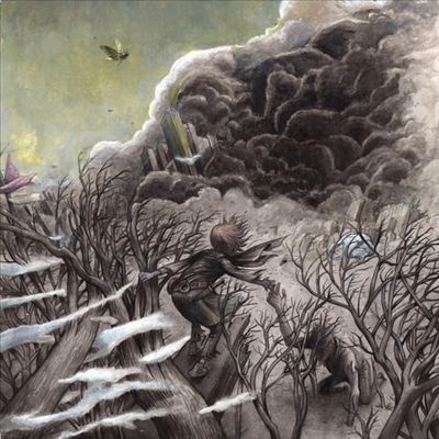 TOWER RECORDS ONLINE㤨Great Falls/A Sense Of Rest[INIT1012]פβǤʤ2,290ߤˤʤޤ