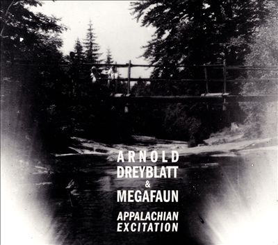 TOWER RECORDS ONLINE㤨Arnold Dreyblatt/Appalachian Excitation[44]פβǤʤ2,690ߤˤʤޤ