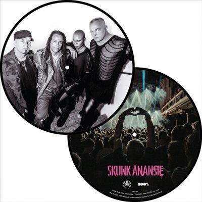 TOWER RECORDS ONLINE㤨Skunk Anansie/This Means War/What You Do For LovePicture Vinyl[100S107]פβǤʤ2,890ߤˤʤޤ