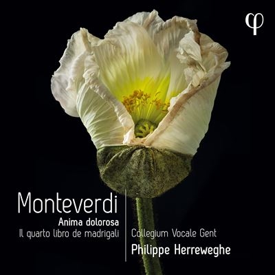Monteverdi: Anima dolora - Il quarto libro de madrigali