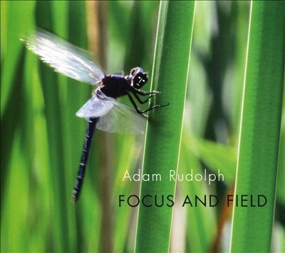 Focus and Field