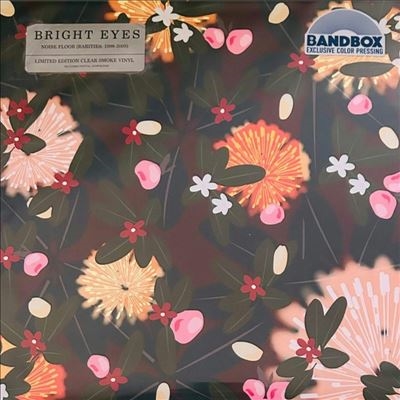 Noise Floor (Rarities 1998-2005)＜Colored Vinyl＞