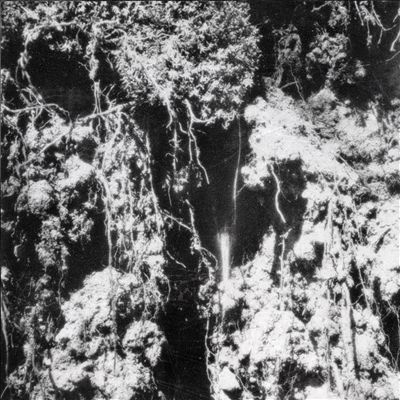 TOWER RECORDS ONLINE㤨Den Sorte Dod/Den Sorte Dod[171STCYCLE]פβǤʤ2,390ߤˤʤޤ