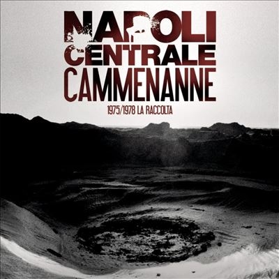 TOWER RECORDS ONLINE㤨Napoli Centrale/Cammenanne/Brown Vinyl[19439974021]פβǤʤ6,790ߤˤʤޤ