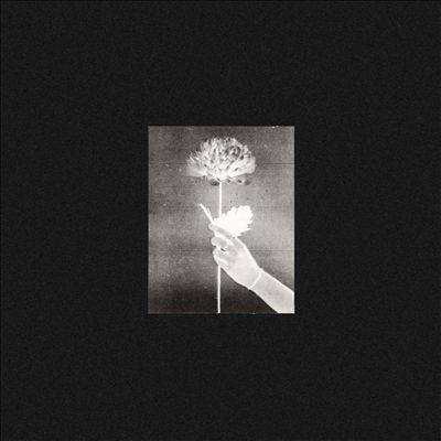 White Flowers/Day By Day[TLV139CD]