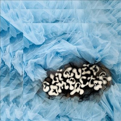 TOWER RECORDS ONLINE㤨Penny & The Pits/Liquid Compactor[FMG108LP]פβǤʤ3,490ߤˤʤޤ