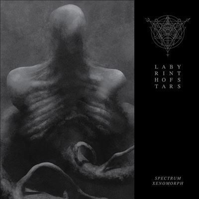 TOWER RECORDS ONLINE㤨Labyrinth Of Stars/Spectrum Xenomorph[TL1921]פβǤʤ4,290ߤˤʤޤ