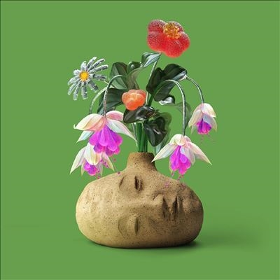 Elephant Gym/Dreams/Flower Petal Fuschia Vinyl[LPTSR242C2]