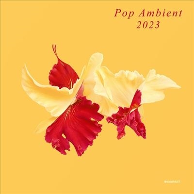 Pop Ambient 2023[KOMPAKT455]