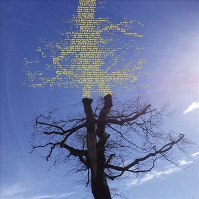 Laetitia Sadier/Rooting For Love[DS33LP62]