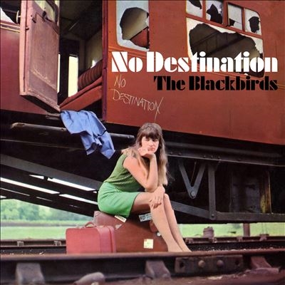 TOWER RECORDS ONLINE㤨The Blackbirds/No Destinationס[BT5056]פβǤʤ4,490ߤˤʤޤ