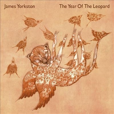 James Yorkston/The Year Of The Leopard
