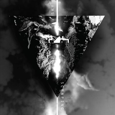 TOWER RECORDS ONLINE㤨Planetary Assault Systems/Sky Scraping[TOKEN103LP]פβǤʤ6,290ߤˤʤޤ