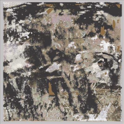 TOWER RECORDS ONLINE㤨Loraine James/Building Something Beautiful for MeColored Vinyl[IMT60092801]פβǤʤ6,290ߤˤʤޤ