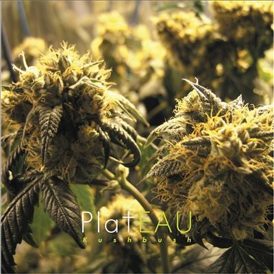 Kushbush＜限定盤＞