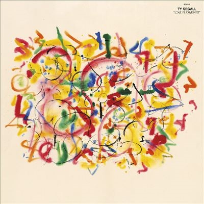 Ty Segall/Love Rudiments[DC831]
