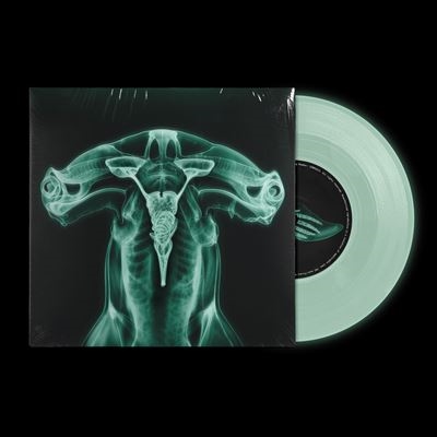 Shark Brain / Dolphin<Glow In The Dark Vinyl> Shark Brain / Dolphin<Glow In The Dark Vinyl>