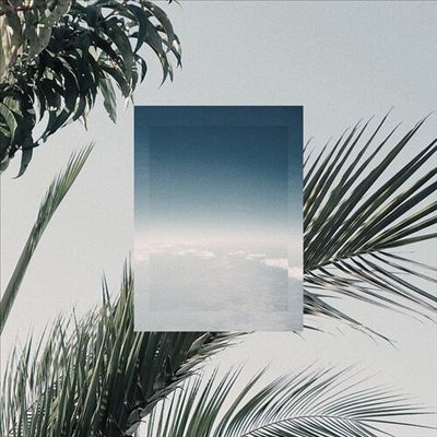 JINSANG IN FLIGHT レコード In Flight/Jinsang