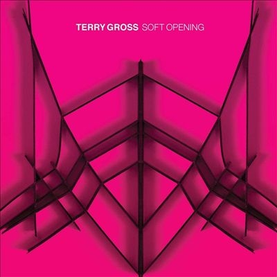 Terry Gross/Soft Opening[THRILL535LP]