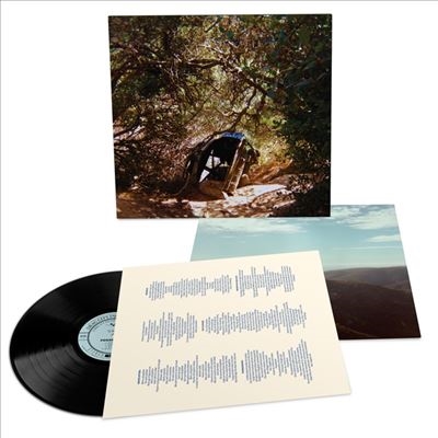 Ty Segall/Possession[DC915]