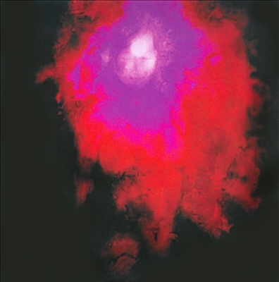 Porcupine Tree/Up The Downstair[SNPC171A2]