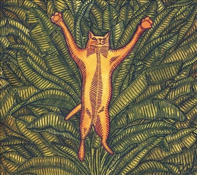 Gatos Do Sul Gatos Do Sul