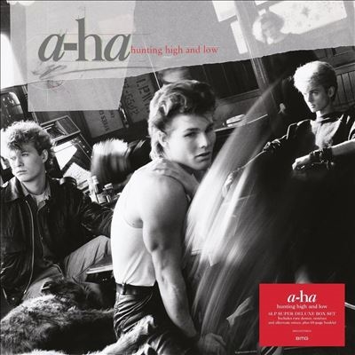 a-ha/Hunting High and Low[4050538791396]