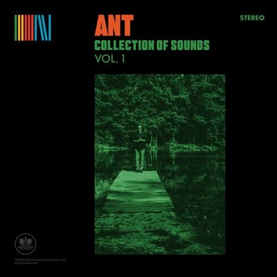 Collection of Sounds Vol. 1＜限定盤/Coloured Vinyl＞